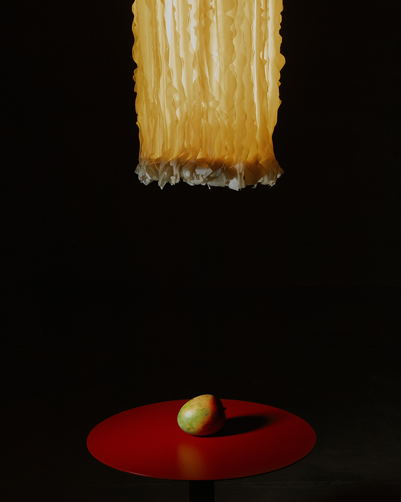 bacterial cellulose transforms into translucent ruffled lighting sculptures