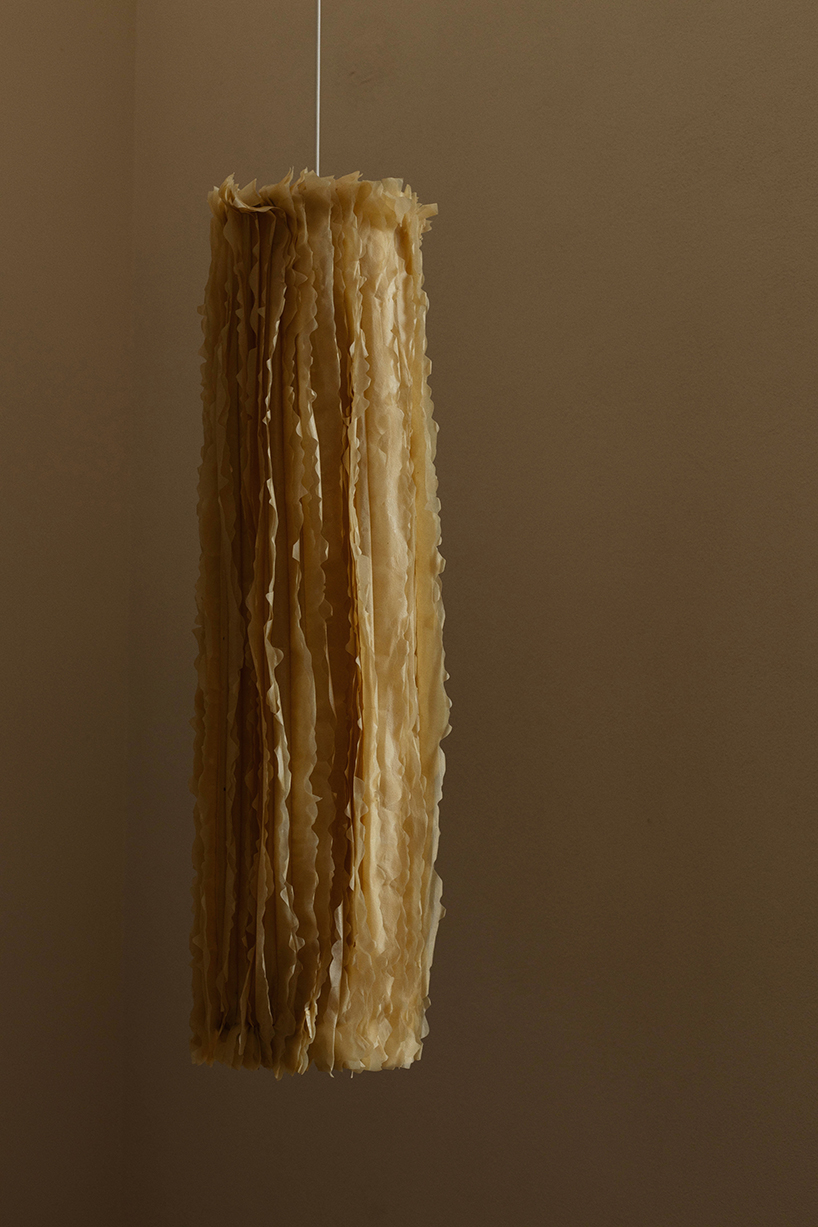 Celulosa bacteriana convertida en escultura de iluminación con volantes translúcidas