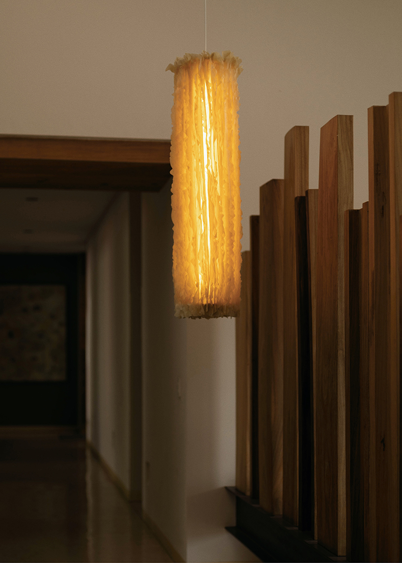 Celulosa bacteriana convertida en escultura de iluminación con volantes translúcidas