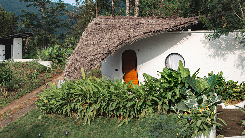 organic shell roof made of thatch and mud tops sculptural eco-retreat in india