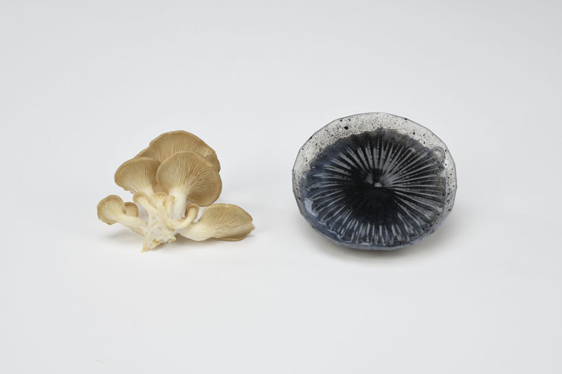 Órganos protésicos fabricados en hongos