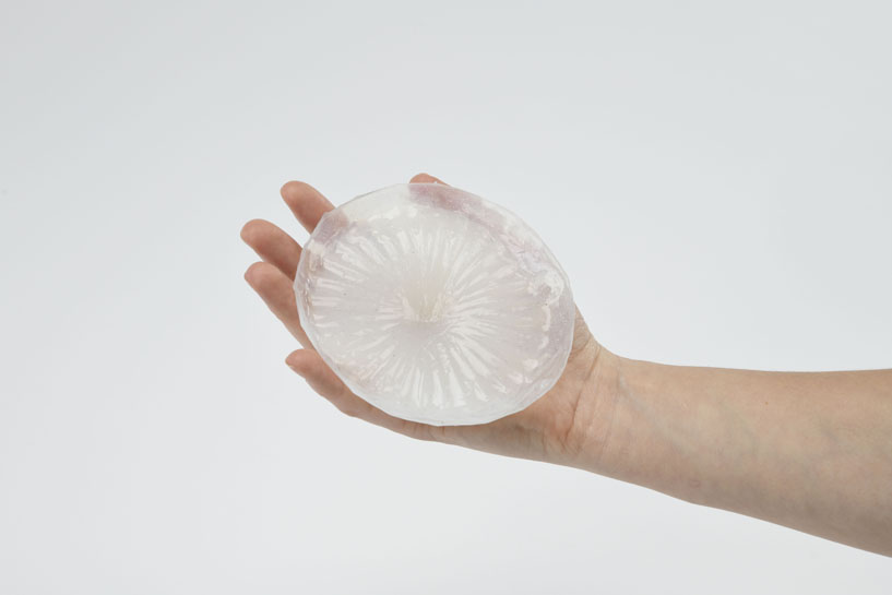 Órganos protésicos fabricados en hongos