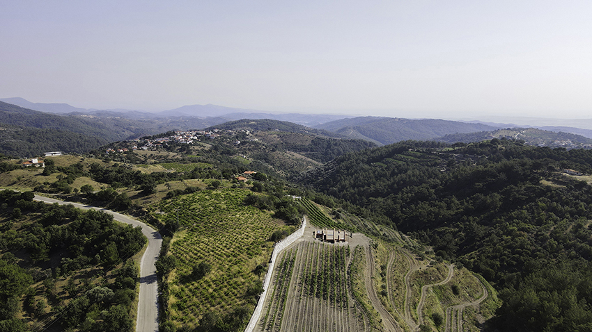 Los volúmenes lineales de la oficina de estuco de tierra roja trazan las hileras de vides en el campo turco.