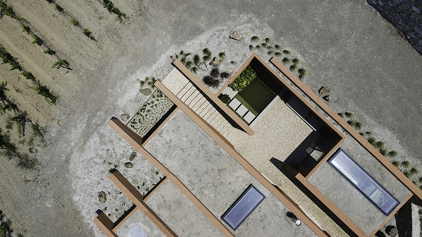 red earthen-plaster office's linear volumes trace grapevine rows in rural turkey
