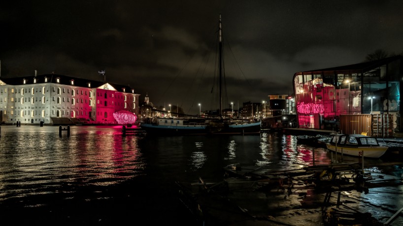 whale skeletal light installation glows red for amsterdam light festival