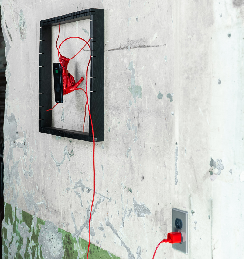 your heart specimen 5