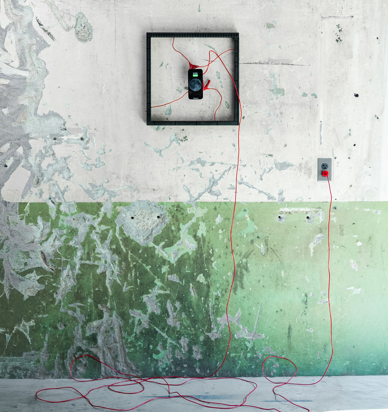 your heart specimen 7