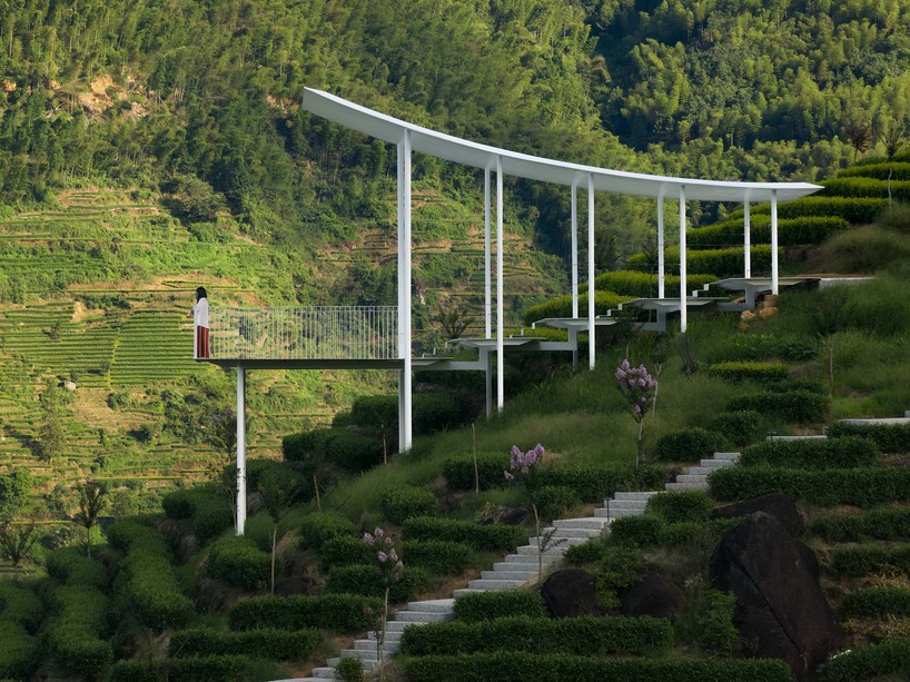 studio RE+N's floating pavilion hovers like a thin white wing above chinese tea mountain - 6