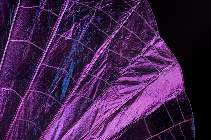 iridescent insect wings glow in chris perani&rsquo;s macro portraits series - 4