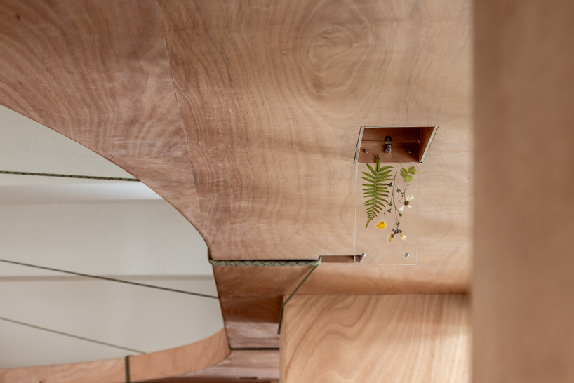 317studio transforms a scout classroom in taiwan into a forest like learning space 7