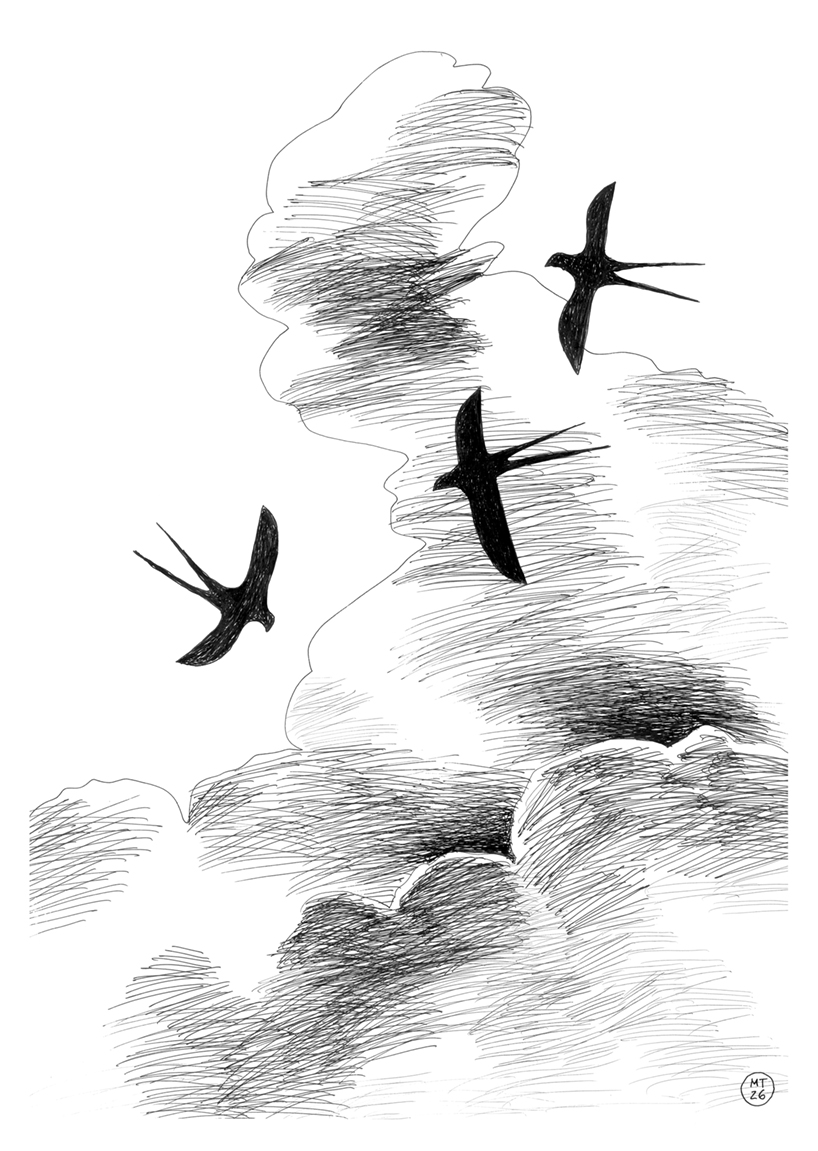 clouds evoke hope in delicate drawing and sculpture series by mario trimarchi - 10