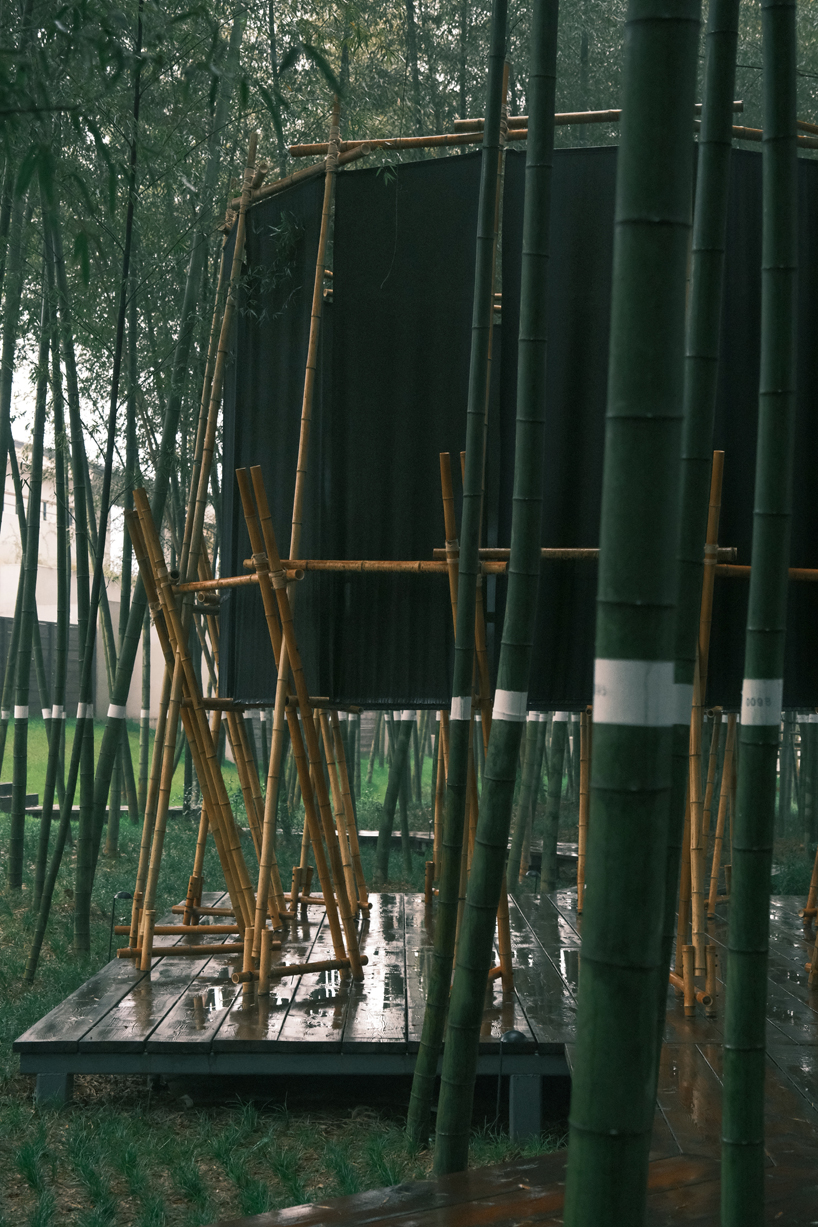 a black fabric veil hovers within a raw bamboo matrix in hubei's dense grove - 5
