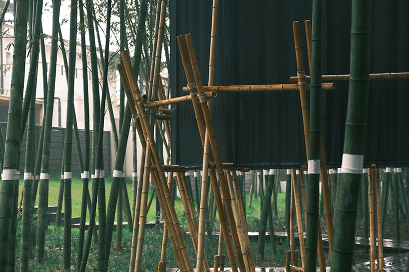a black fabric veil hovers within a raw bamboo matrix in hubei's dense grove - 6