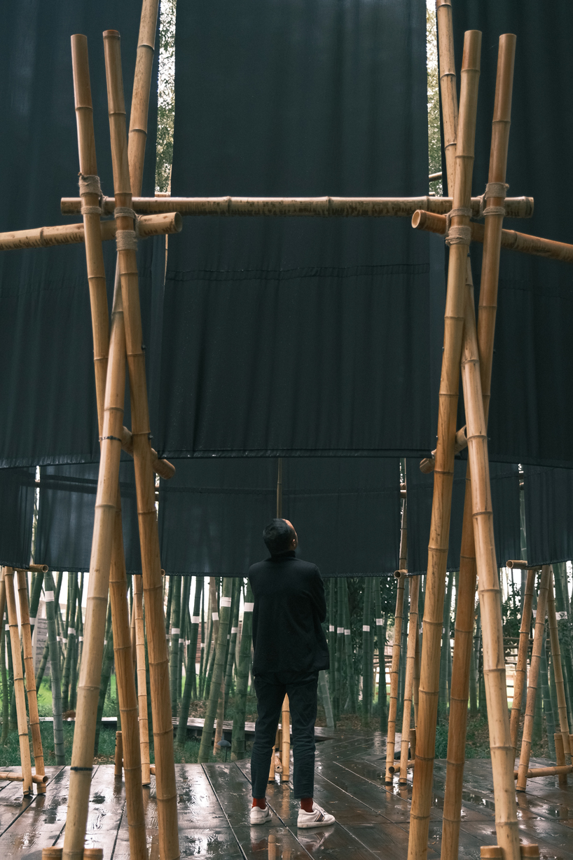 a black fabric veil hovers within a raw bamboo matrix in hubei's dense grove - 7