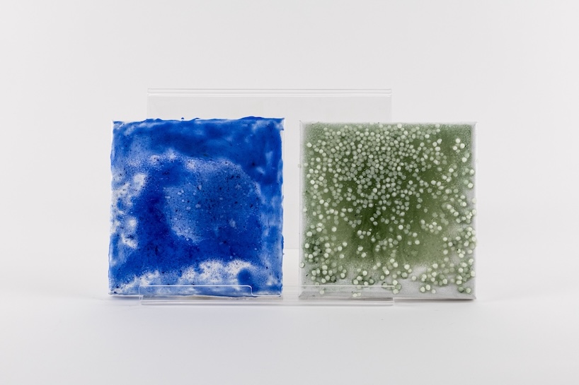 open-source paint archive explores reusable biomaterials and earth pigments for fine art - 6