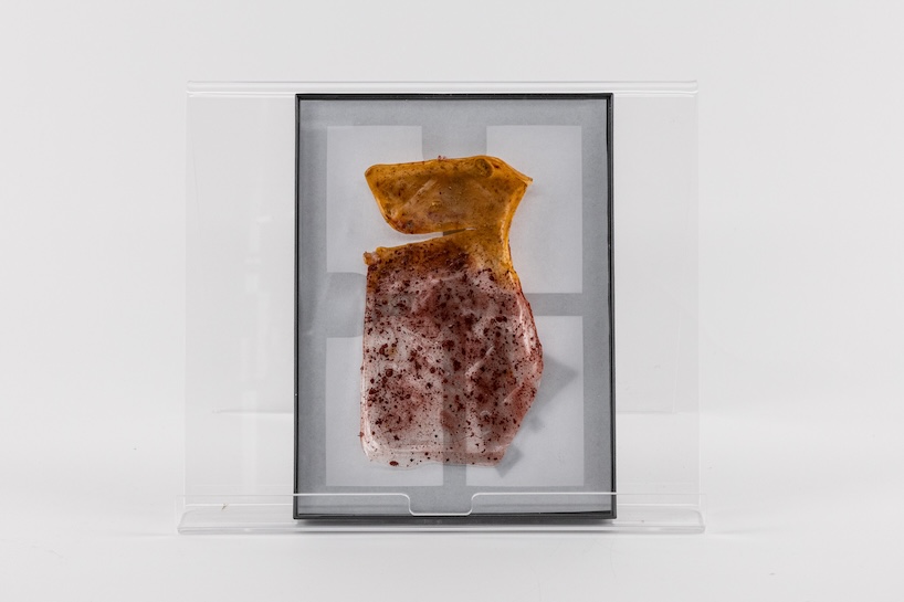 open-source paint archive explores reusable biomaterials and earth pigments for fine art - 9
