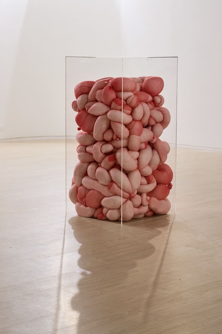 the body as structure 9