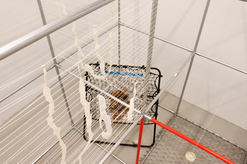 metal pipe grid transforms personal rituals of control into participatory playground - 5