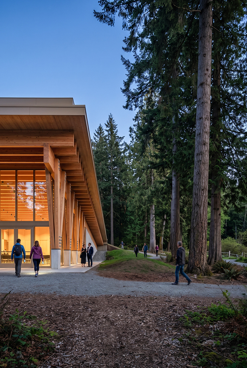 luca fontanas mass timber plank factory choreographs rainwater in vancouver 10
