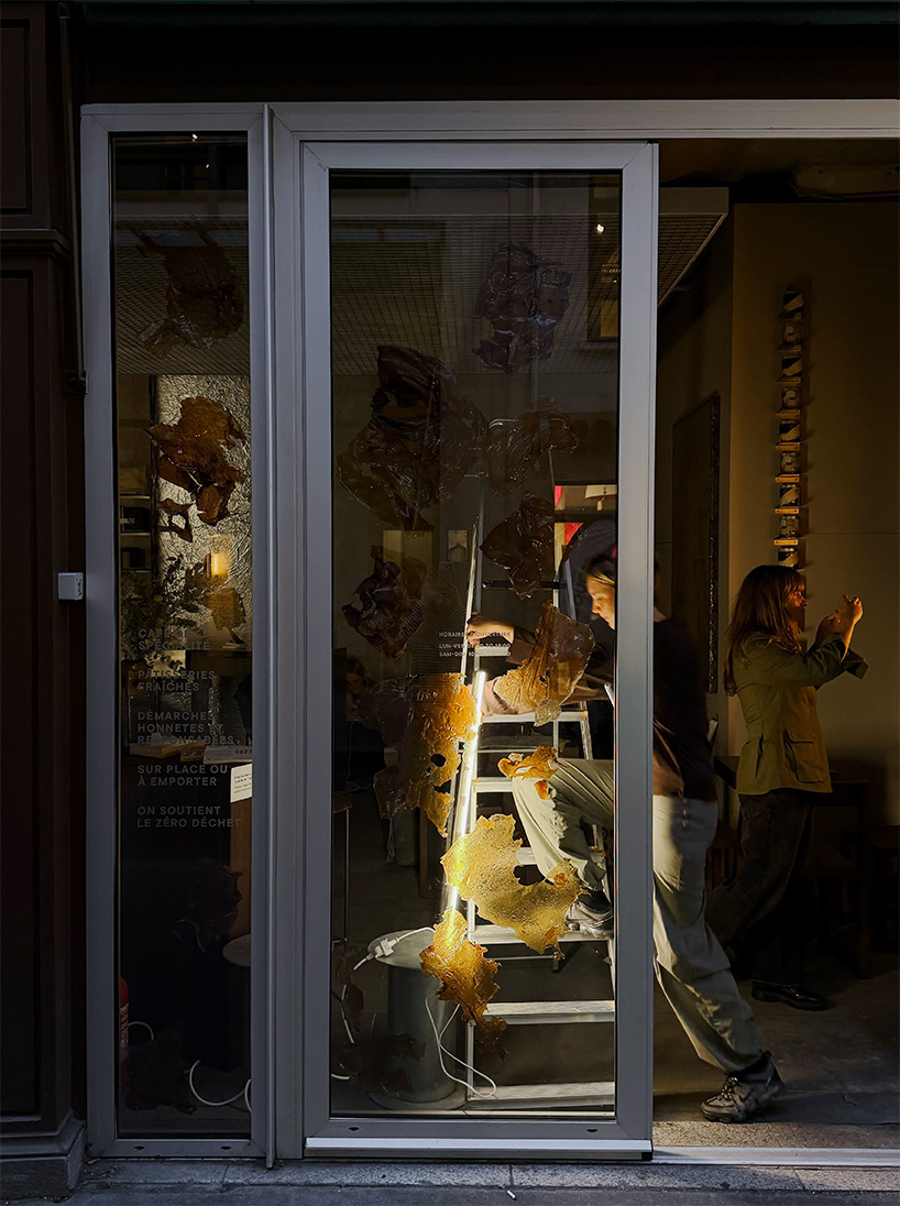 biomaterial designers reimagine the future cafe 1