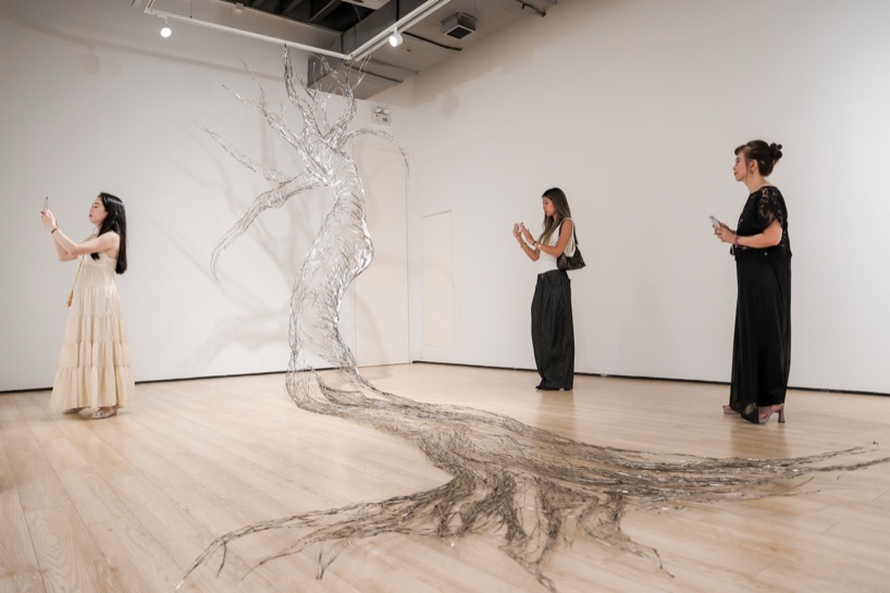 fields of resonance tia thuy nguyen materializes the energy of nature 2