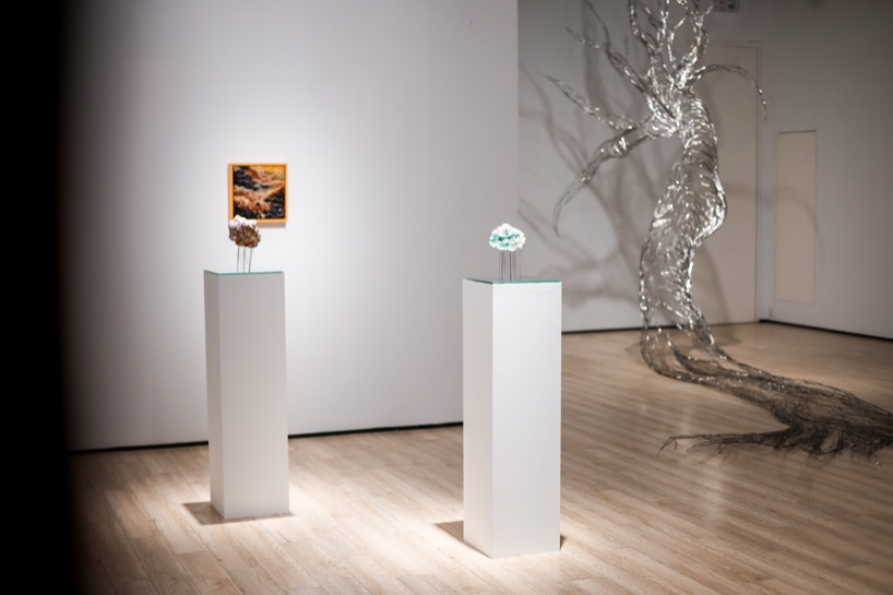 fields of resonance tia thuy nguyen materializes the energy of nature 3