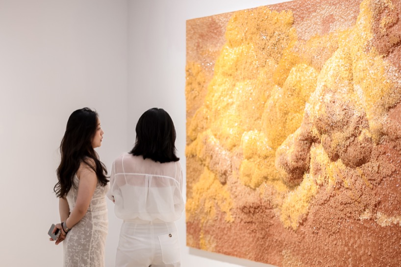 fields of resonance tia thuy nguyen materializes the energy of nature 6