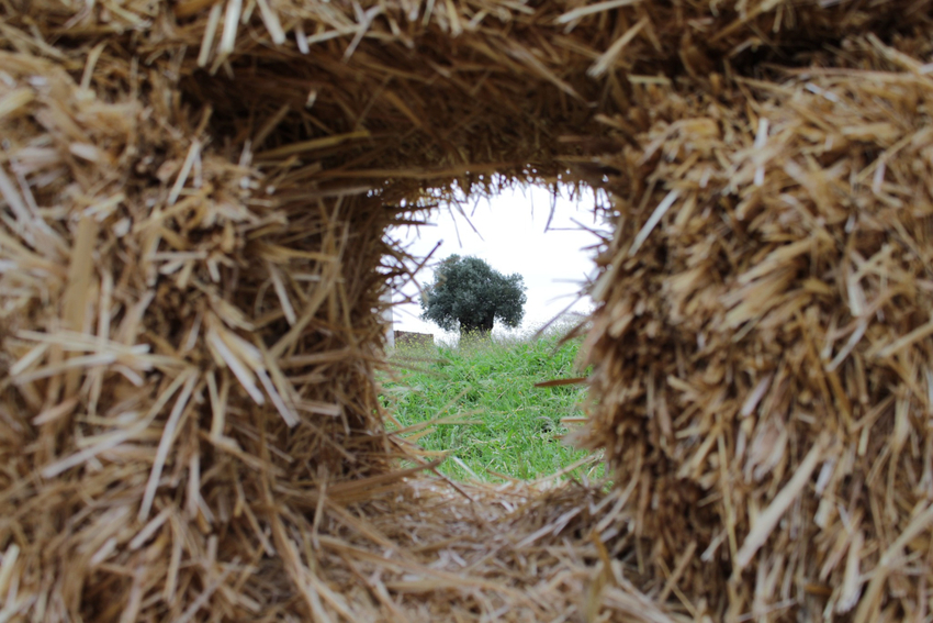 straw walls shape amphitheater, experimental garden and walking path in rural spain - 4