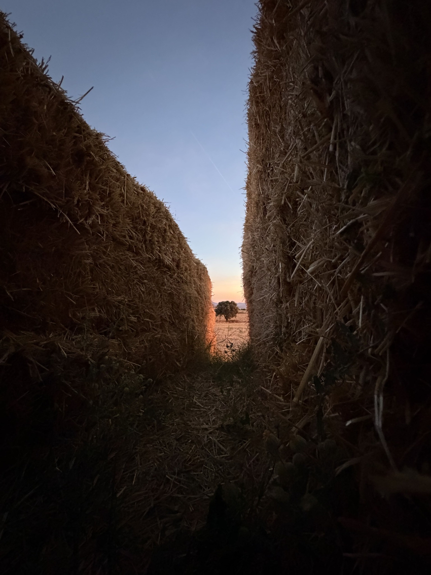 straw walls shape amphitheater, experimental garden and walking path in rural spain - 5