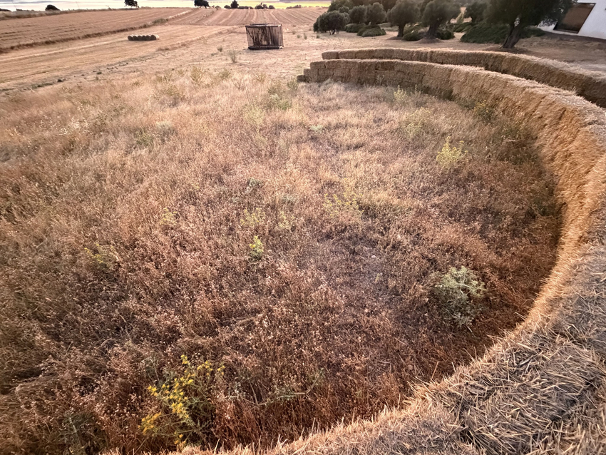 straw walls shape amphitheater, experimental garden and walking path in rural spain - 3