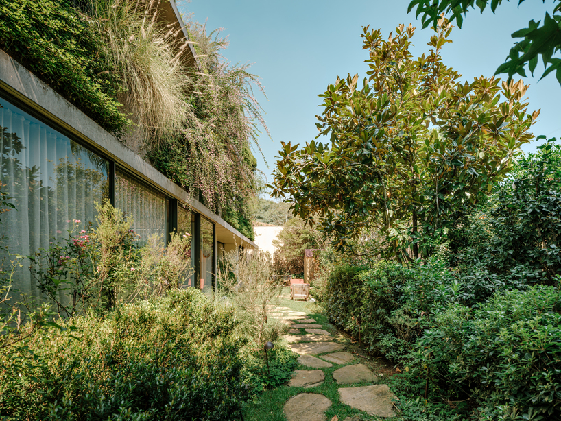 continuous vertical gardens and layered planters wrap 111 house in são paulo - 1