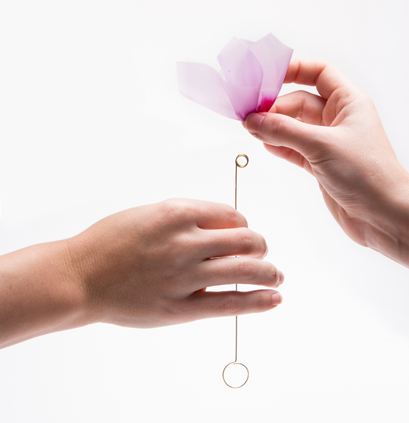 luka or explores the delicate line between artificial & natural in botanica