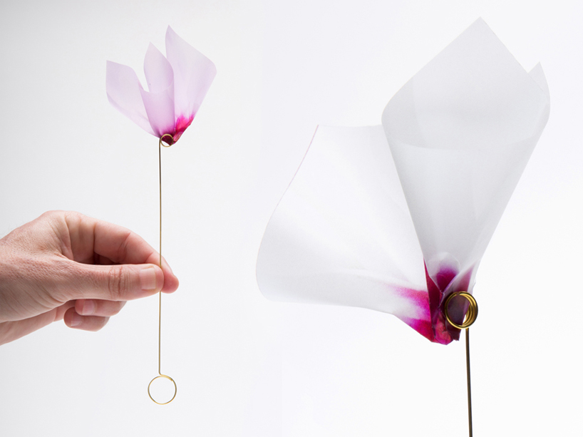 luka or explores the delicate line between artificial & natural in botanica