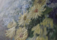 3D printer creates identical reproductions of fine art paintings