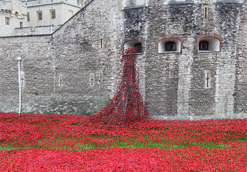remembrance poppy tower of london
