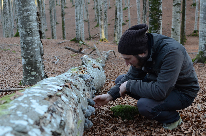 alcarol-fungi-collection-habitat4