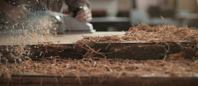 alcarol-fungi-collection-video-10-designboom