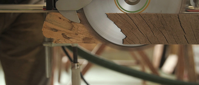 alcarol-fungi-collection-video-11designboom