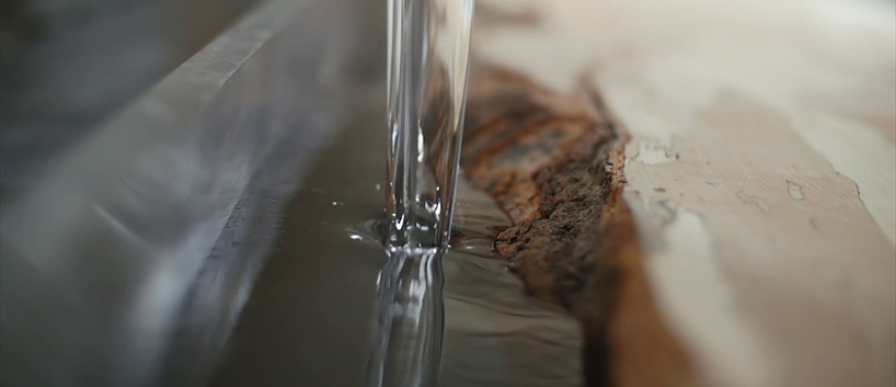 alcarol-fungi-collection-video-13-designboom