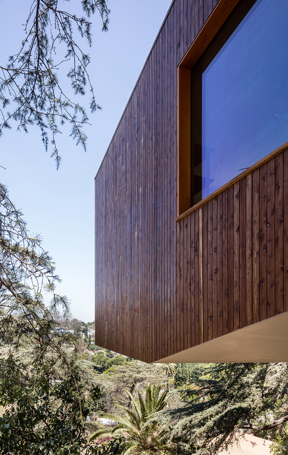 anonymous architects house in trees echo park los angeles california designboom