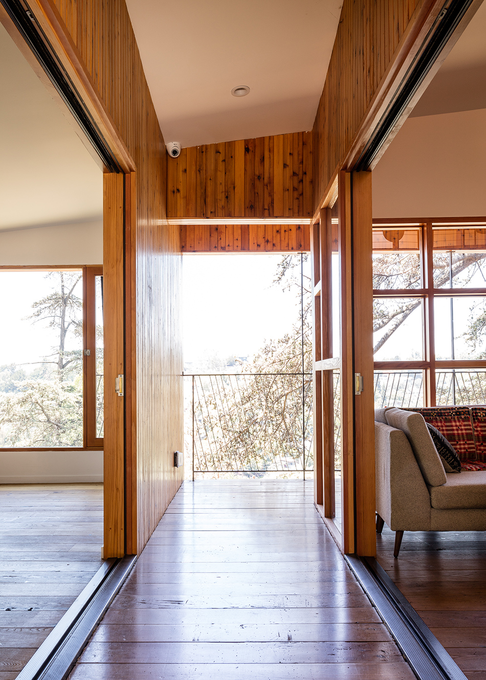 anonymous architects house in trees echo park los angeles california designboom