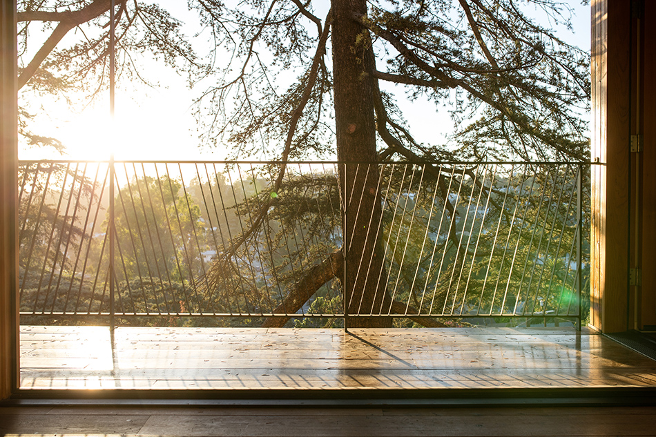anonymous architects house in trees echo park los angeles california designboom