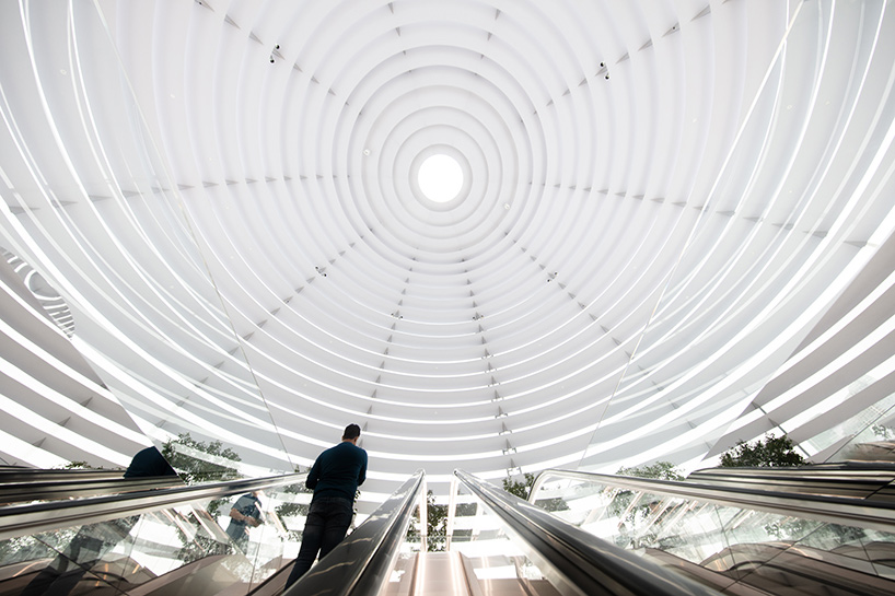 Apple's floating store in Singapore is its architectural crown jewel