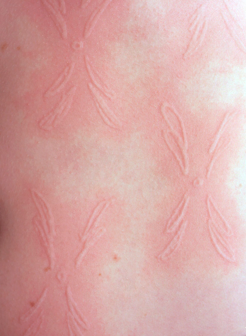 ariana-russell-skin-designboom-12