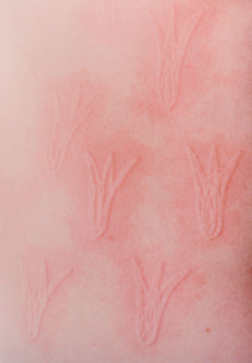 ariana-russell-skin-designboom-13