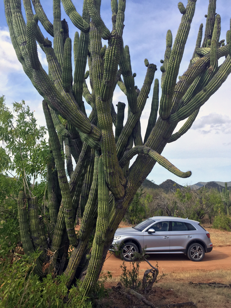 audi-q5-test-drive-mexico-blue-designboom-031