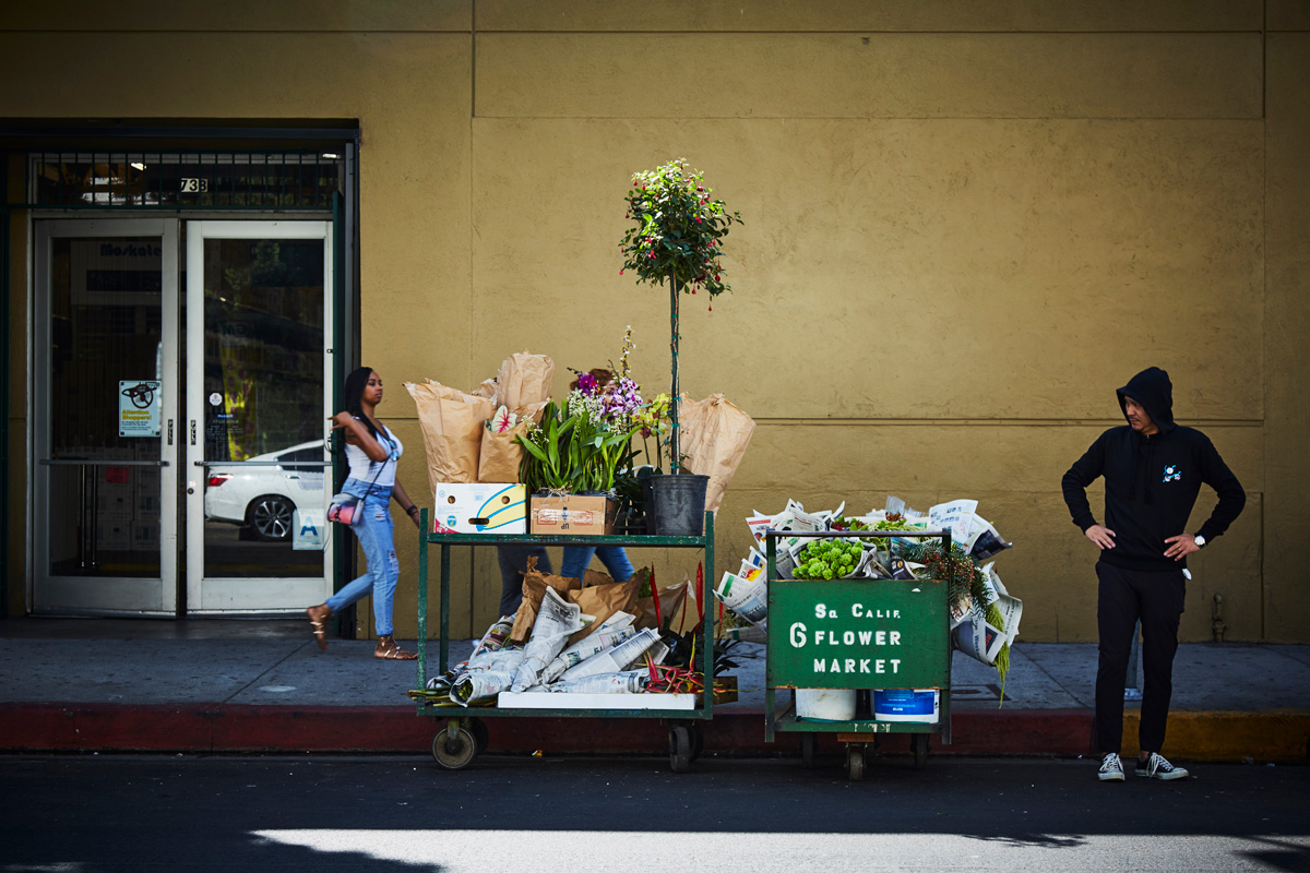 azuma makoto launches flowers into the stratosphere and documents the journey designboom