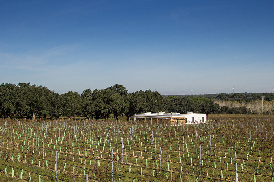 blaanc vinyard house casa da vinha montijo portugal designboom