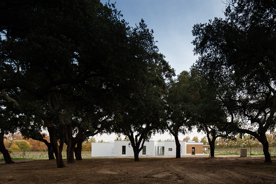 blaanc vinyard house casa da vinha montijo portugal designboom