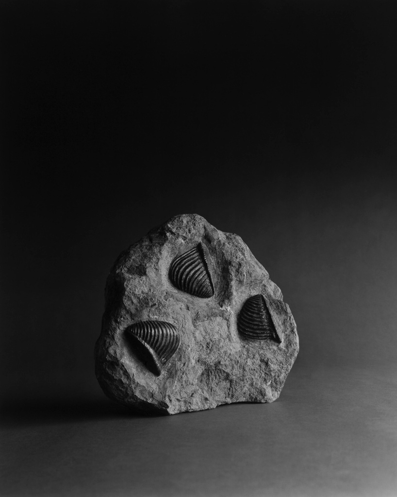 cahiers d\'art gallery: hiroshi sugimoto 